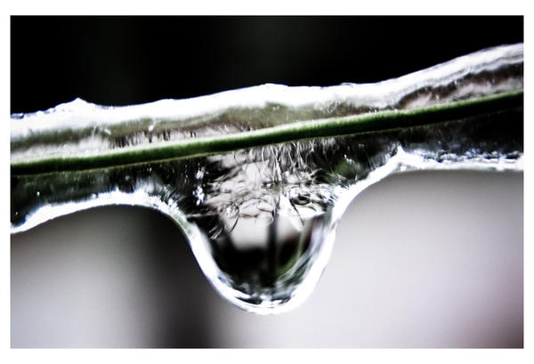 Drop of Frost by coldhunter on DeviantArt