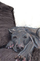 Weimaraner Portrait Pet Painting - 12x18