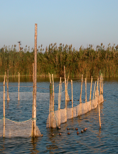 Albufera de Valencia