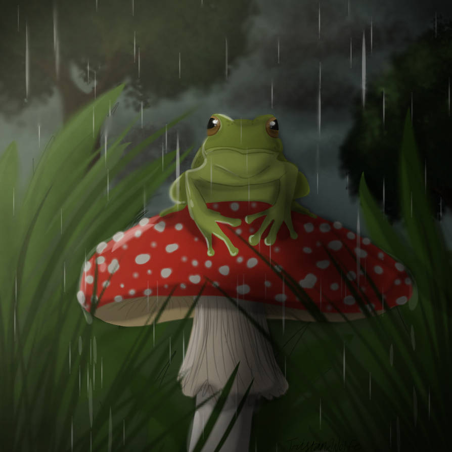 Froggy by AshaTheHyena on DeviantArt