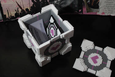 Companion Cube Care Package 4