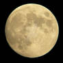 The Moon