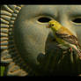 Female Goldfinch on the Sun