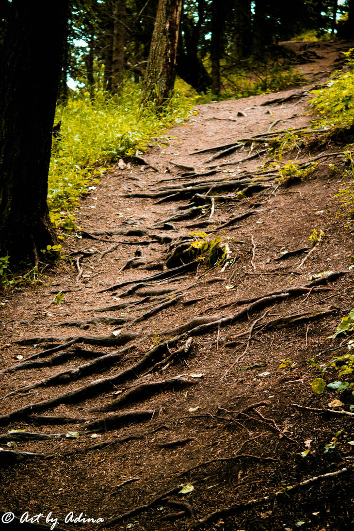 Nature's Staircase