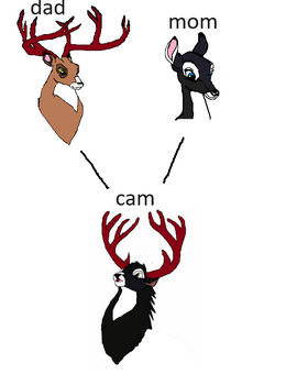 Cams Family tree So Far