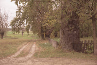 Country Road