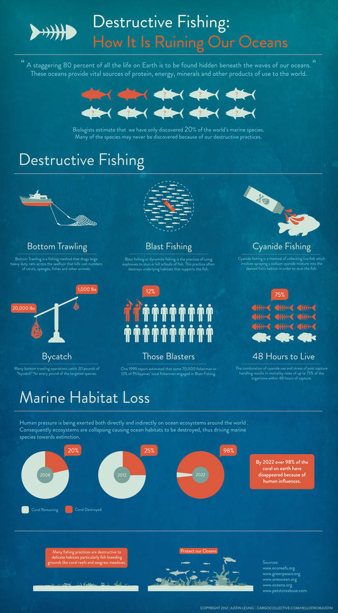 Infographic: Destructive Fishing by AirDuster on DeviantArt
