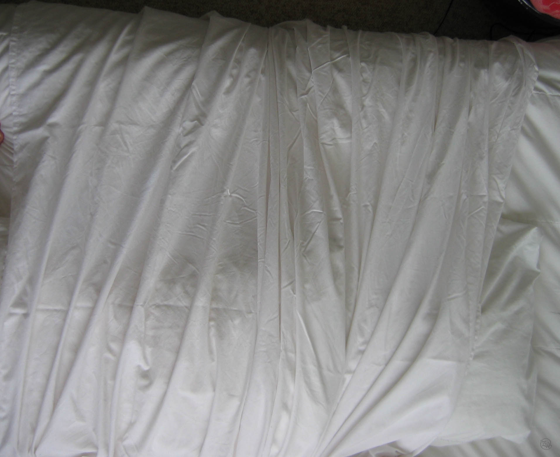 White Sheet 1