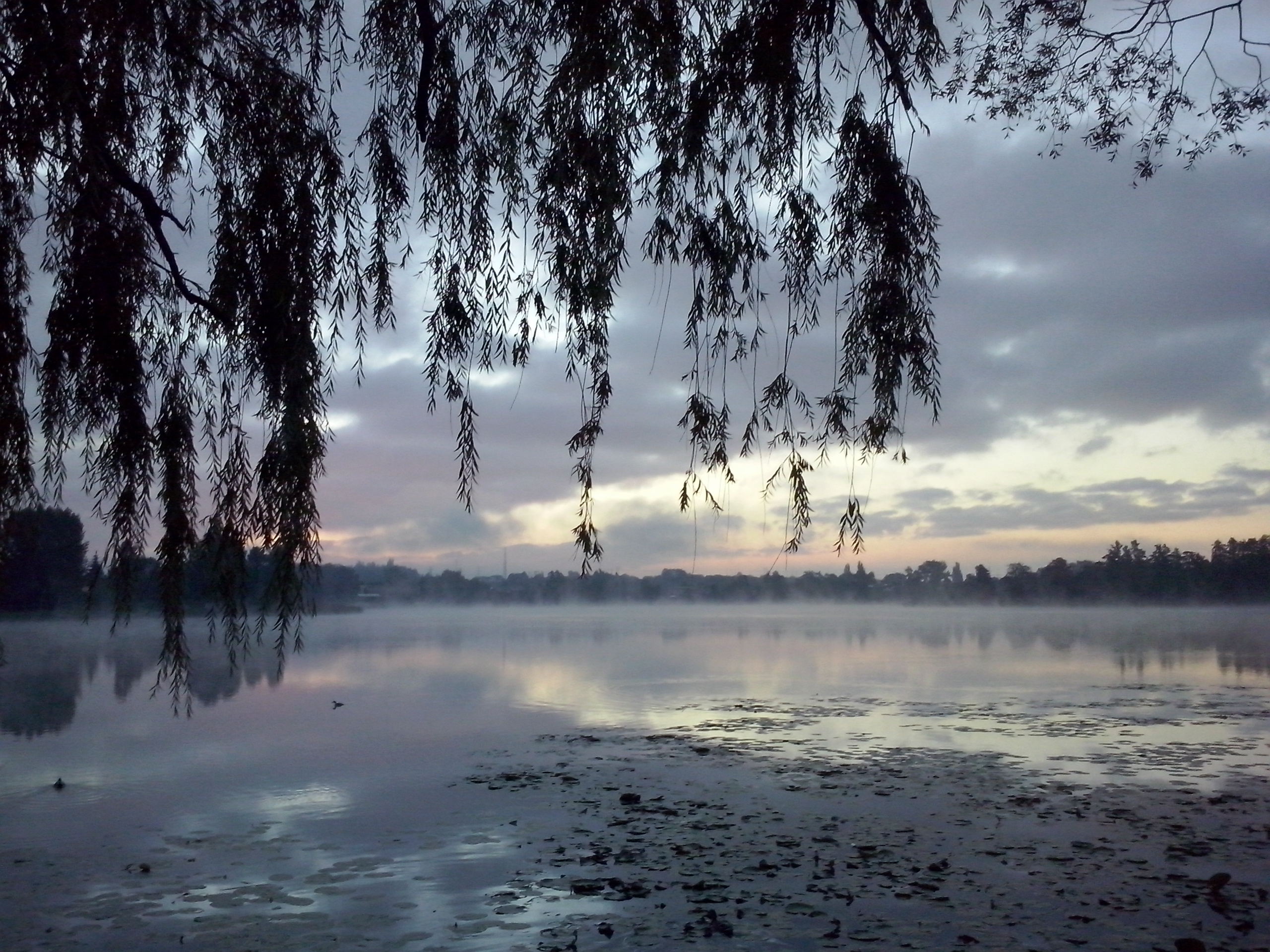 Mourning Lake