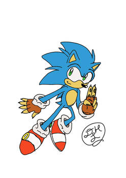 Test #2-Chaos Crises Sonic