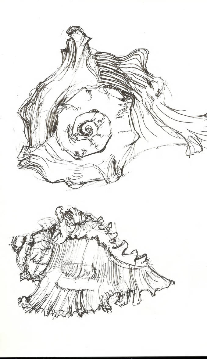Shells by mitchey93 on DeviantArt
