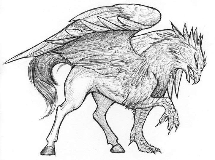 Hippogryph Sketch