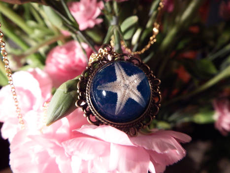 Real Starfish Resin Necklace