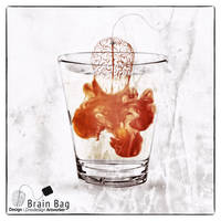 Brain Bag