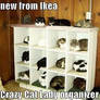 a new way to store cats