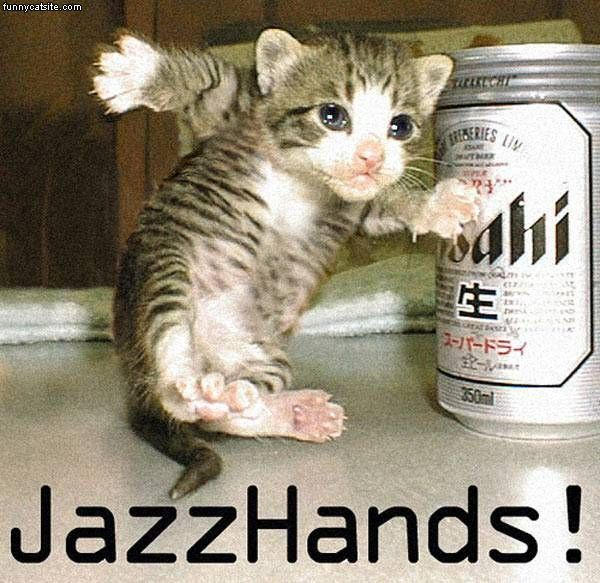 Jazz cat