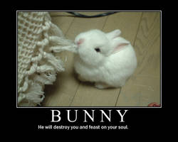 Evil bunny