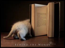 Behind . The . Words