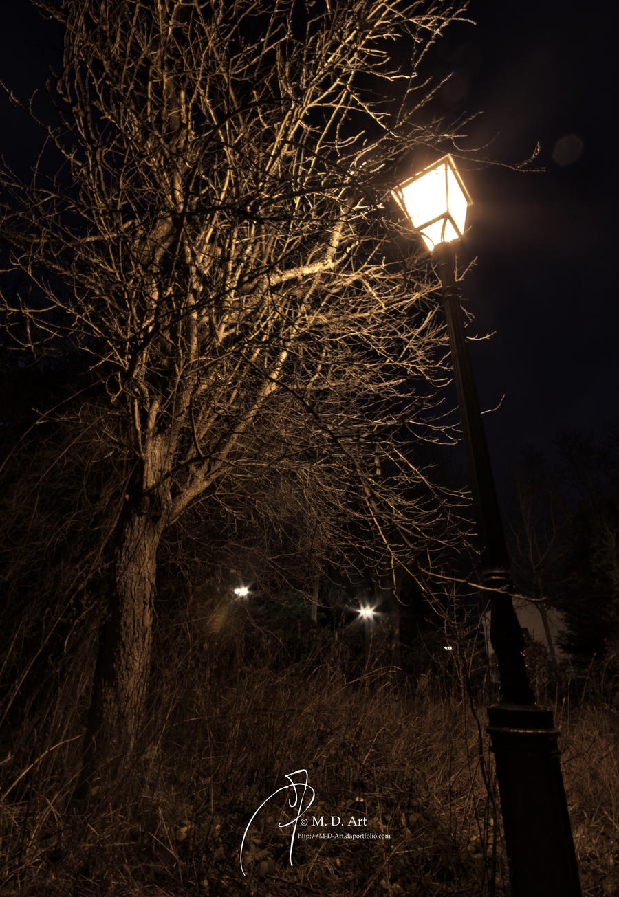 The Tree and the Lamp