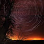 Star-Trails and Lime-Tree