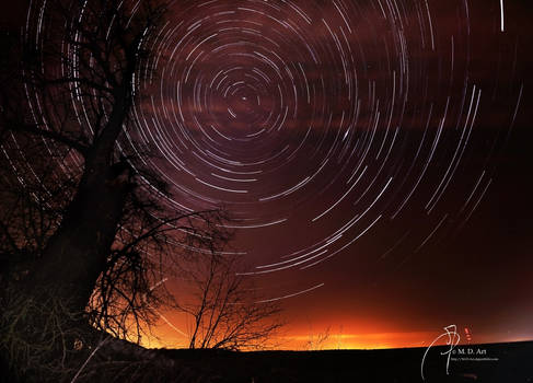 Star-Trails and Lime-Tree