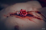 Blood and Roses by MD-Arts