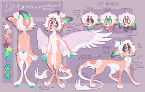 elliot ref 2020