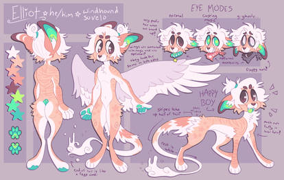 elliot ref 2020