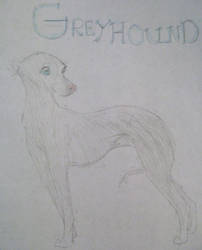 GreyHound