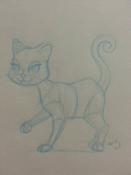 Cat Sketch