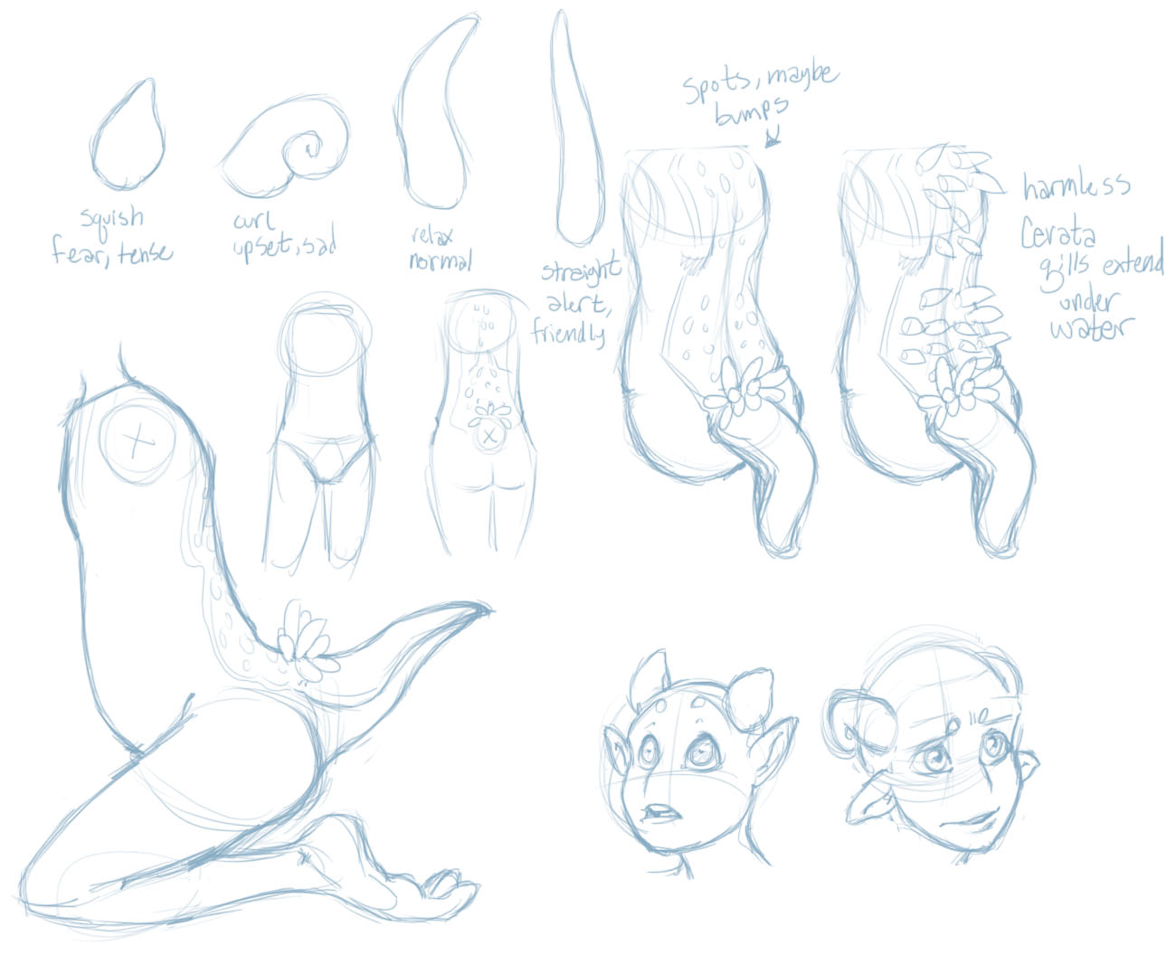 Nudibranch Folk Study Sketch