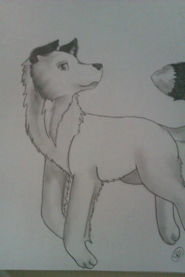 the floating wolf by Sickey-H on DeviantArt