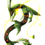 Mega Rayquaza