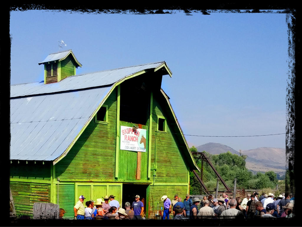 Skippen Ranch by Raisabusygod on DeviantArt