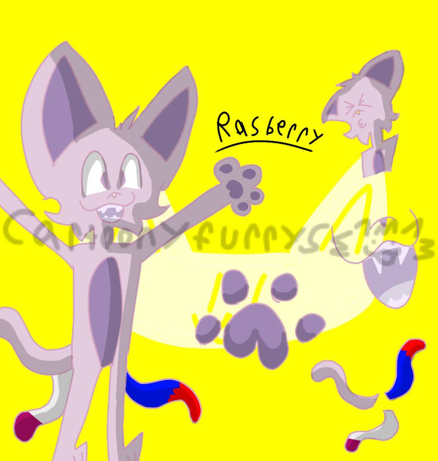Raspberry template by CartoonyFurrys on DeviantArt