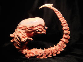 Chestburster