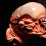 Chestburster close-up