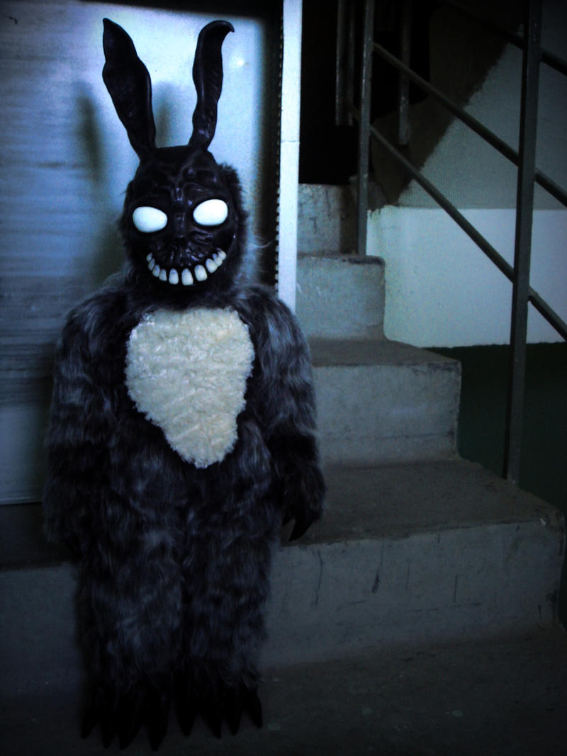 Frank the bunny by Santani on DeviantArt