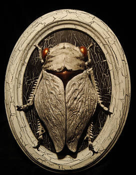 Winter Cicada