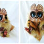 Tiny Griffin