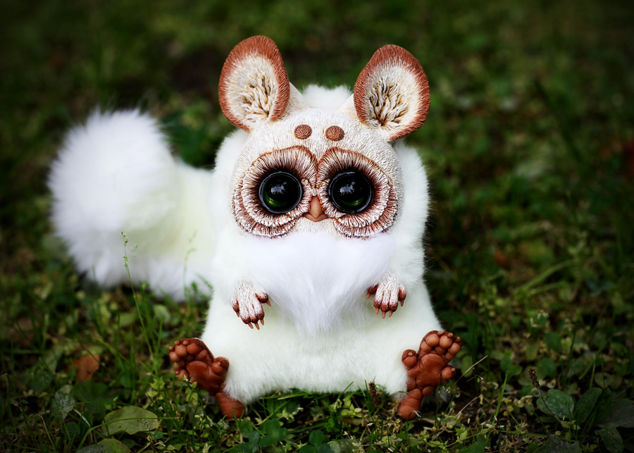 T.G. Polar