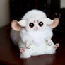 Inari Foxes: White