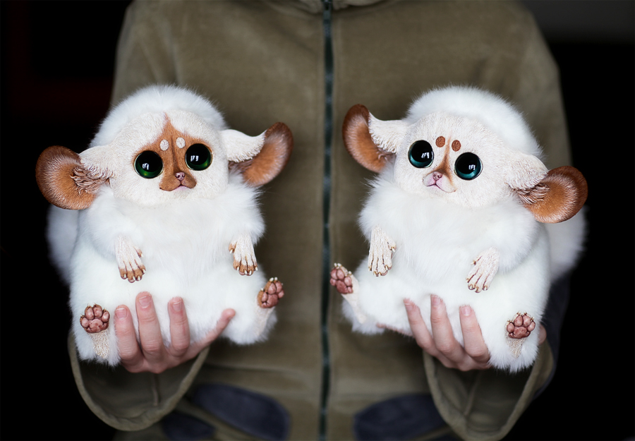 Inari Foxes