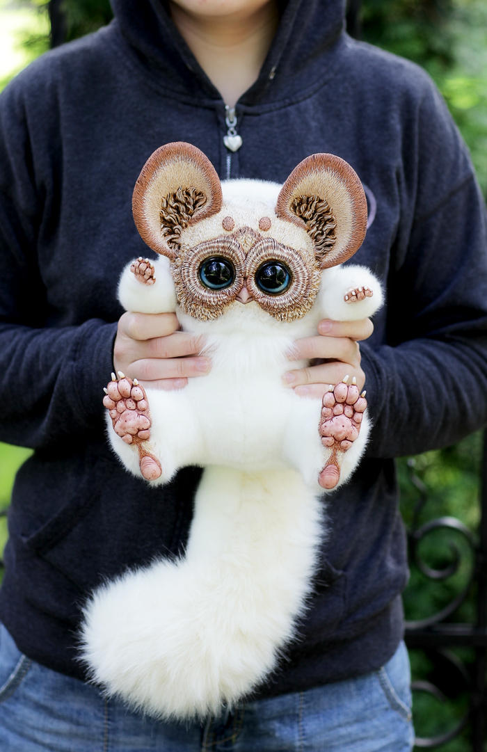Милая какой неведомою. Магадаскарзкий глазо ух. Игрушки Santaniel Inari. Мадагаскарский глазоух. Мексиканский глазоух.