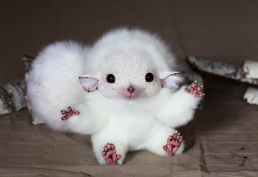 White Shrew by Santani