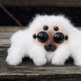 Friendly little spider: White
