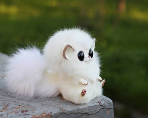 Critter Kittens: White 2