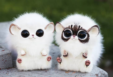 Critter Kittens (a couple)
