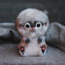 Hedgehog: Beige
