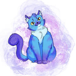 Galaxy Kitty